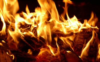 Släpp dårarna loss – det är vår!